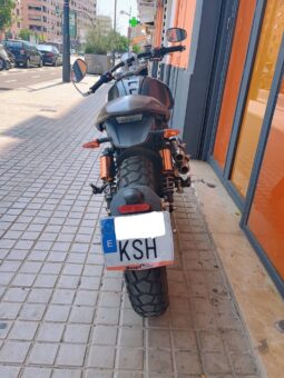 FB Mondial Hps 300 lleno