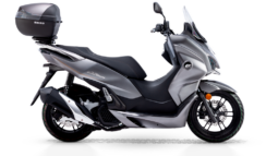 QJ Motor MTX 125 lleno